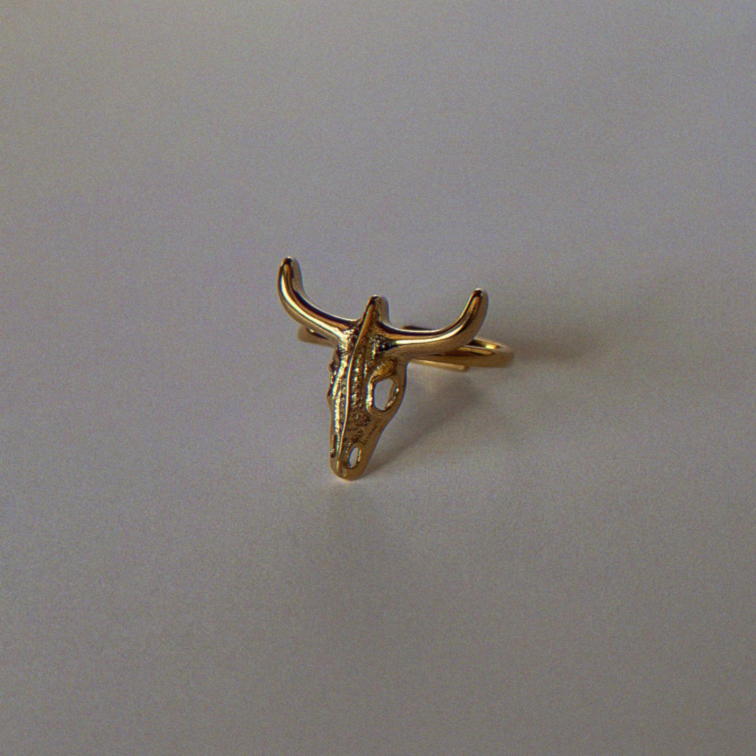 Anillo Balarés