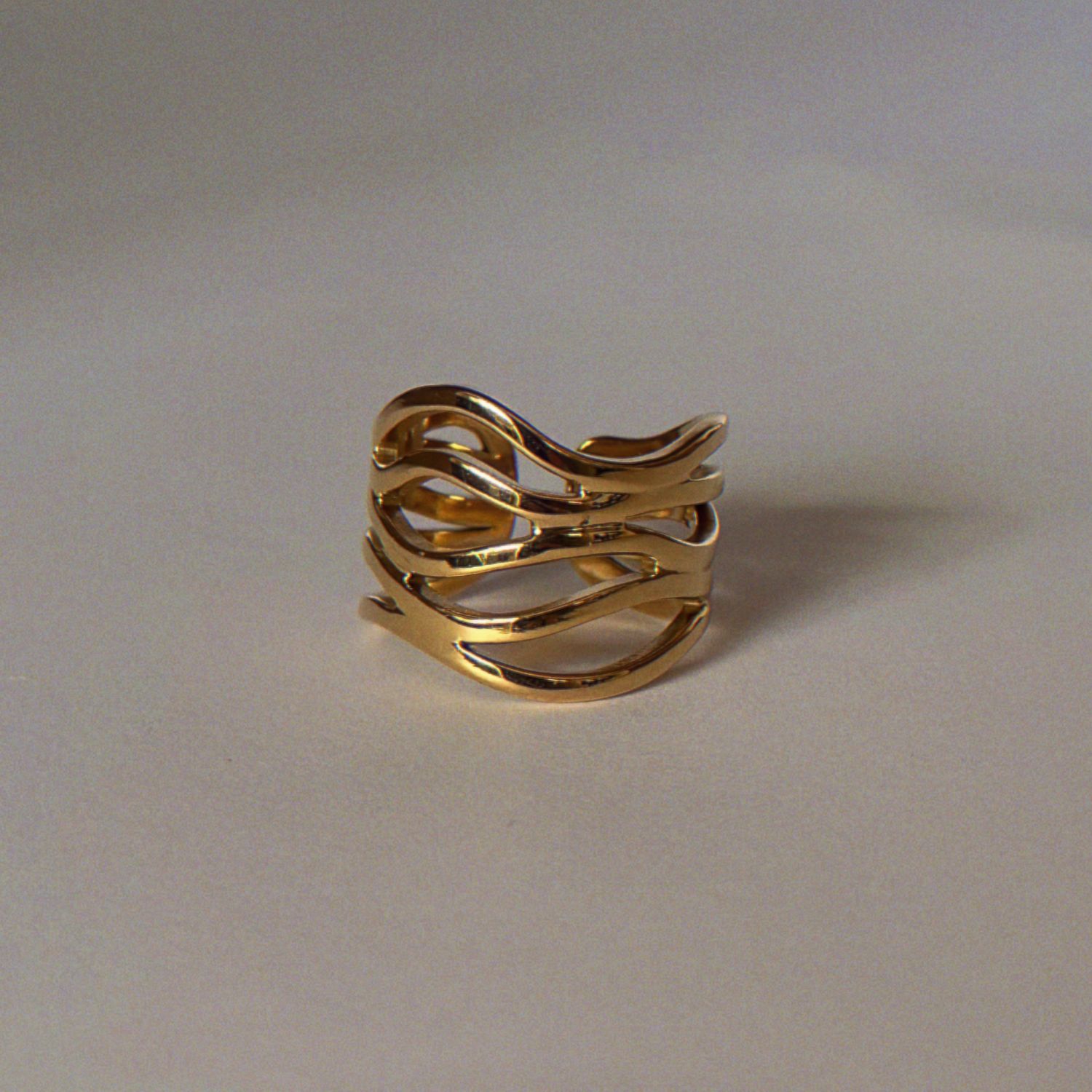 Anillo Coto