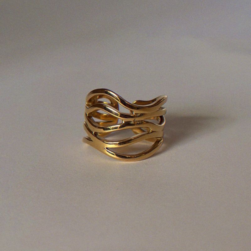 Anillo Coto
