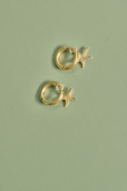 Pendientes Lapas