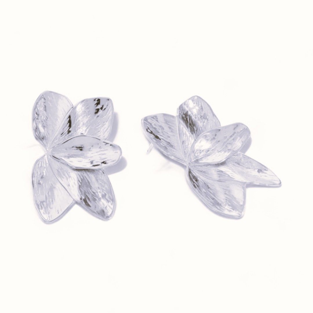Pendientes Santa Marta