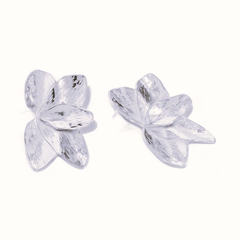 Pendientes Santa Marta