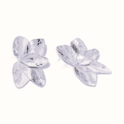 Pendientes Santa Marta