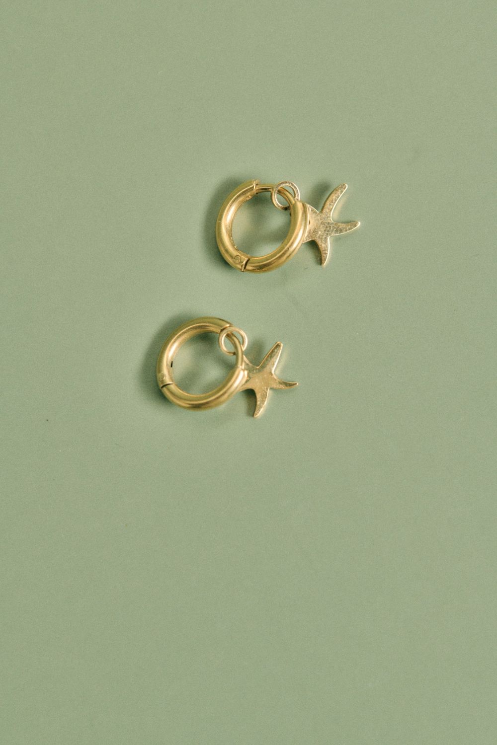Pendientes Lapas Pendientes Lapas