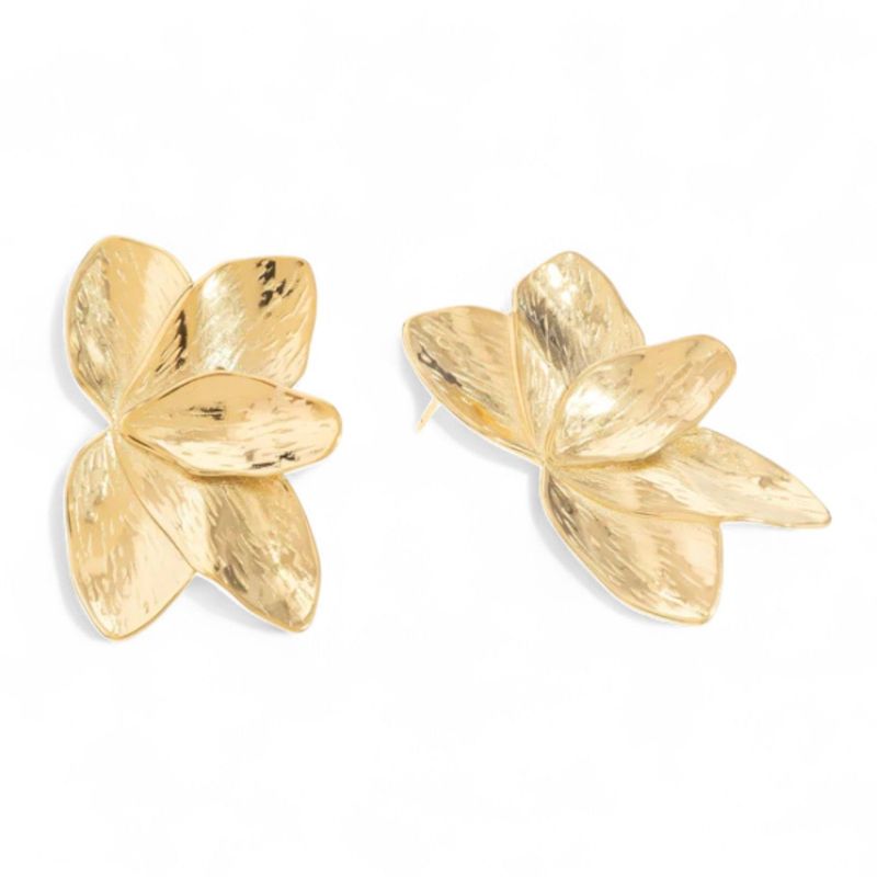 Pendientes Santa Marta
