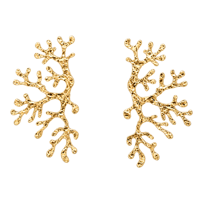 Pendientes Coral Pendientes Coral