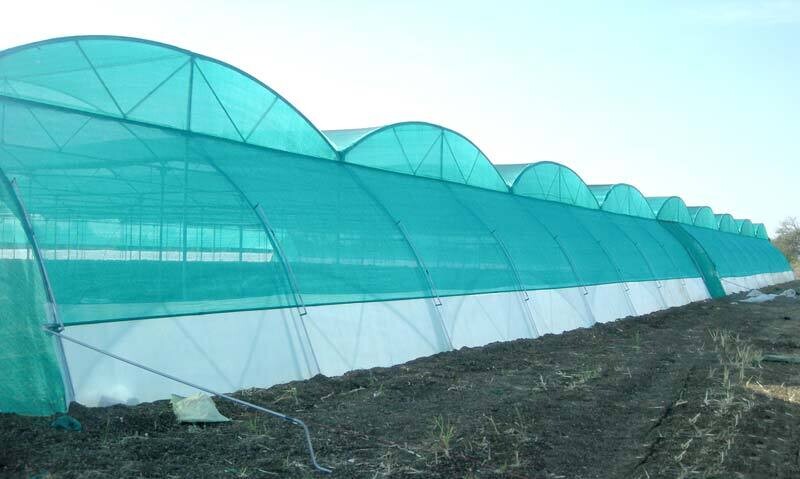 30% shade rate Hdpe Greenhouse Shade Net Sun Shading Net Uv Stabilized Sunshade Netting