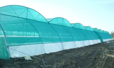 30% shade rate Hdpe Greenhouse Shade Net Sun Shading Net Uv Stabilized Sunshade Netting
