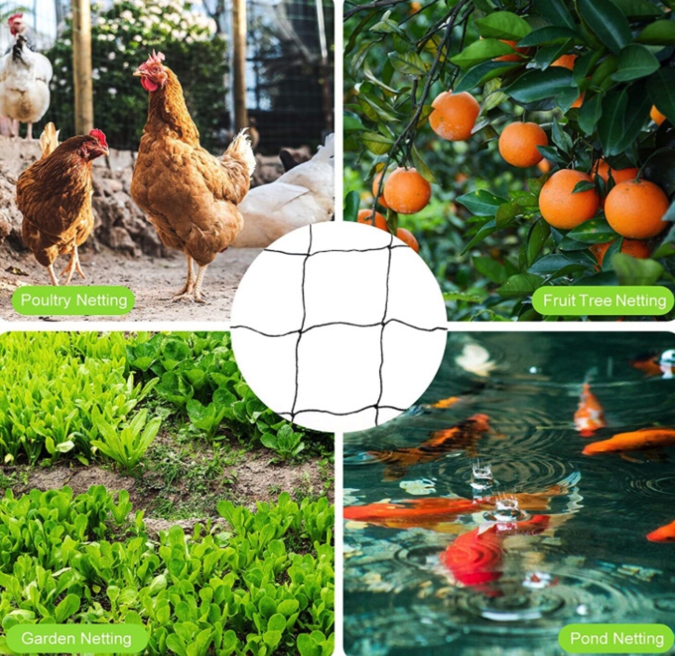Range net poultry chicken plastic mesh net rolls for poultry/plastic net for chicken 1.5x100m (4.9 x328 ft)