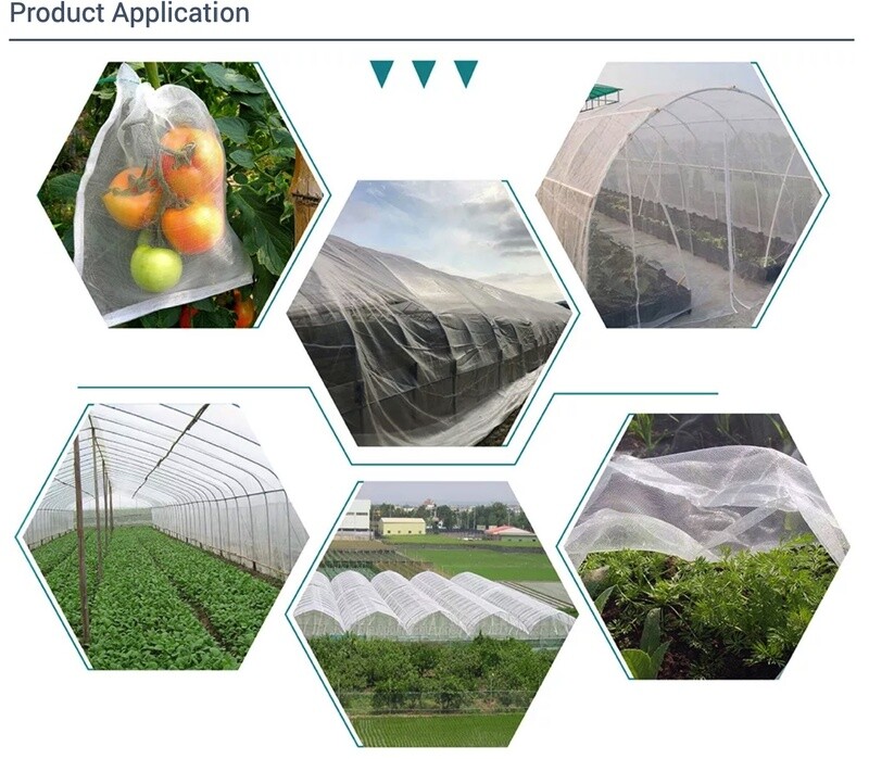 Agriculture net anti-insect net fiberglass insect nets anti bird insect hail for vineyard 1x100m(3.3x328ft)