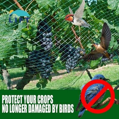 Vineyard Bird Netting for Garden Protect Vegetable Plants and Fruit Trees Plastic Trellis Netting Aging resistance Pest Barrier