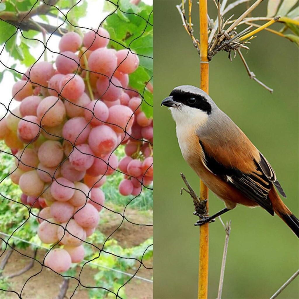 High strength new products knotless knitting anti bird protection net bird net