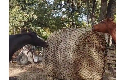 4x3ft 1.6&#39;&#39; hole round bale hay nets Slow Feed horses plastic nets hay nets for horses slow feed hay nets for horses horse hay net slow feed net horse, Mesh size 4x4cm