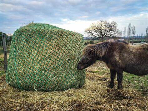 6x6ft 1.6'' hole Large Size Durable Slow Feeder Horse Round Bale Hay Net For Sale Uv Resistant Hay Bag For Sale Slow Feeder, Mesh size 4x4cm 6x6ft 1.6'' hole Large Size Durable Slow Feeder Horse Round Bale Hay Net For Sale Uv Resistant Hay Bag For Sale Slow Feeder, Mesh size 4x4cm