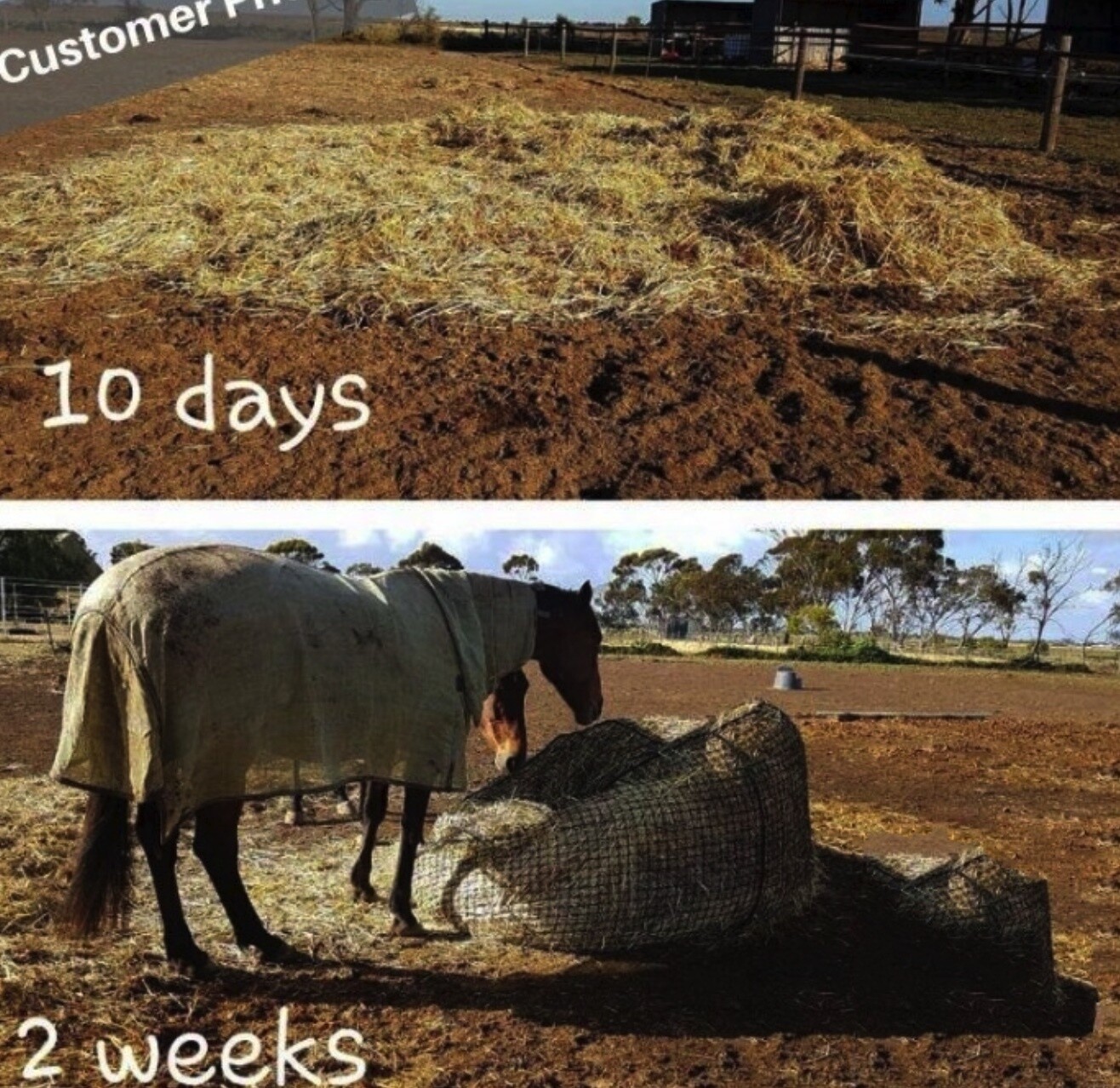 7 X 7ft 1.6'' hole Green Large Size Slow Feeder Horse/Round Bale Feeder Net Mesh size 4x4cm