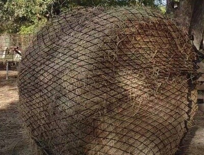 6x6ft with 1.18''holes, Round Bale Hay Net | KNOTLESS THICK Round Bale Hay Net | Slow Feed Hay Net | Round Bale Feeder | Round Bale Slow Feed Hay Net 6x6ft with 1.18''holes, Round Bale Hay Net | KNOTLESS THICK Round Bale Hay Net | Slow Feed Hay Net | Round Bale Feeder | Round Bale Slow Feed Hay Net
