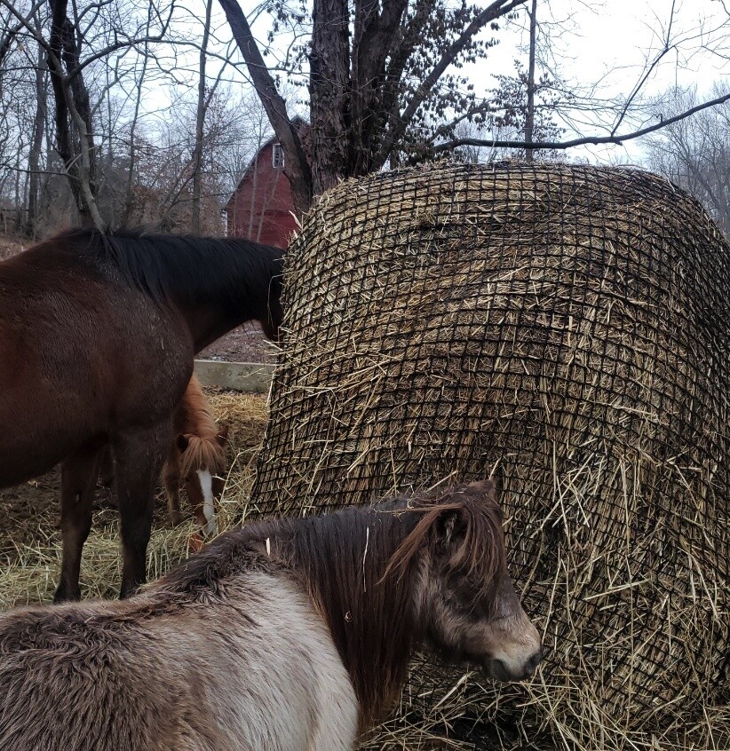 4x4ft 1.18''holes Hay Bags Best Slow Feed Diamond Equestrian Horse Dressage Hay Nets Amazon Equine Sports Large Bale Hay Polo Horse Riding 