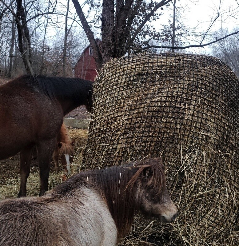 4x4ft 1.18''holes Hay Bags Best Slow Feed Diamond Equestrian Horse Dressage Hay Nets Amazon Equine Sports Large Bale Hay Polo Horse Riding 4x4ft 1.18''holes Hay Bags Best Slow Feed Diamond Equestrian Horse Dressage Hay Nets Amazon Equine Sports Large Bale Hay Polo Horse Riding