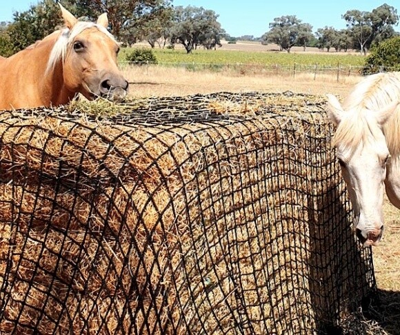 1.6'' hole,quare8x4x4ft hay net slow feeder for large square bales/hay net bag/hay netting mehs size 4x4cm