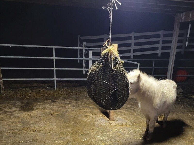 1.6'' hole,2 pcs Slow Feed 150x150cm Hay Net with soft 1.6 1.6'' hole,2 pcs Slow Feed 150x150cm Hay Net with soft 1.6"x1.6" holes for Horses & Livestock, Nylon Rope Hanging , Simulates Grazing, Reduce Waste mesh size 4x4cm