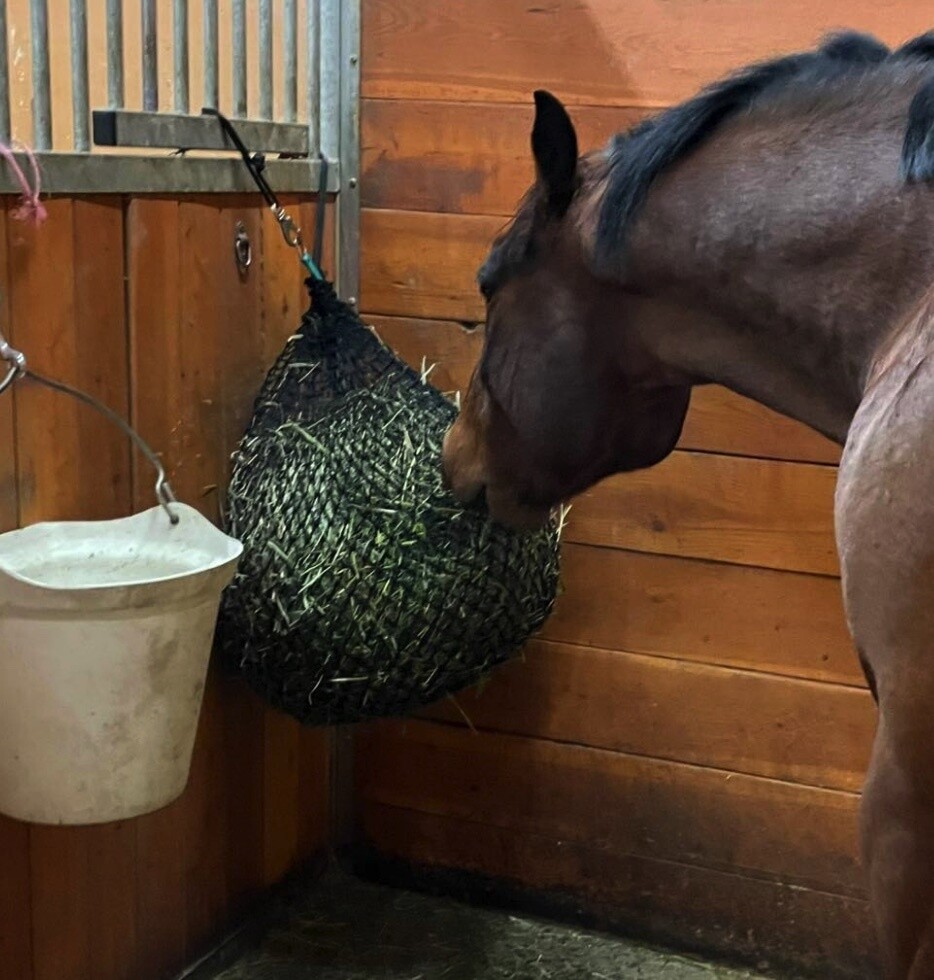 1.2&#39;&#39; hole 2-pack,#Horse Rugs  #Other Horse Products #Braided Rope Mesh Hay Bag/#custom feed hay nets  #round slow hay bale feeder net mesh size 3x3cm