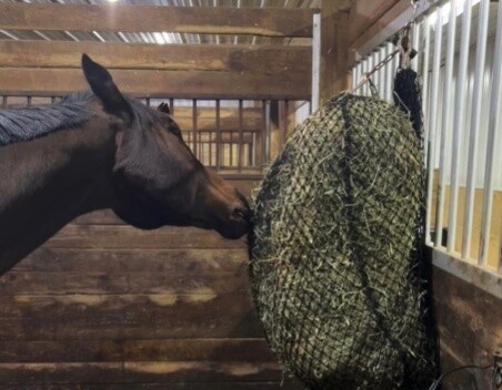 2'' hole 2-pack, envelope 150x150cm OEM Wholesale PE Polypropylene Material Health Benefits Horse Feeding Net Slow Feed Bag Net mesh size 5x5cm 2'' hole 2-pack, envelope 150x150cm OEM Wholesale PE Polypropylene Material Health Benefits Horse Feeding Net Slow Feed Bag Net mesh size 5x5cm