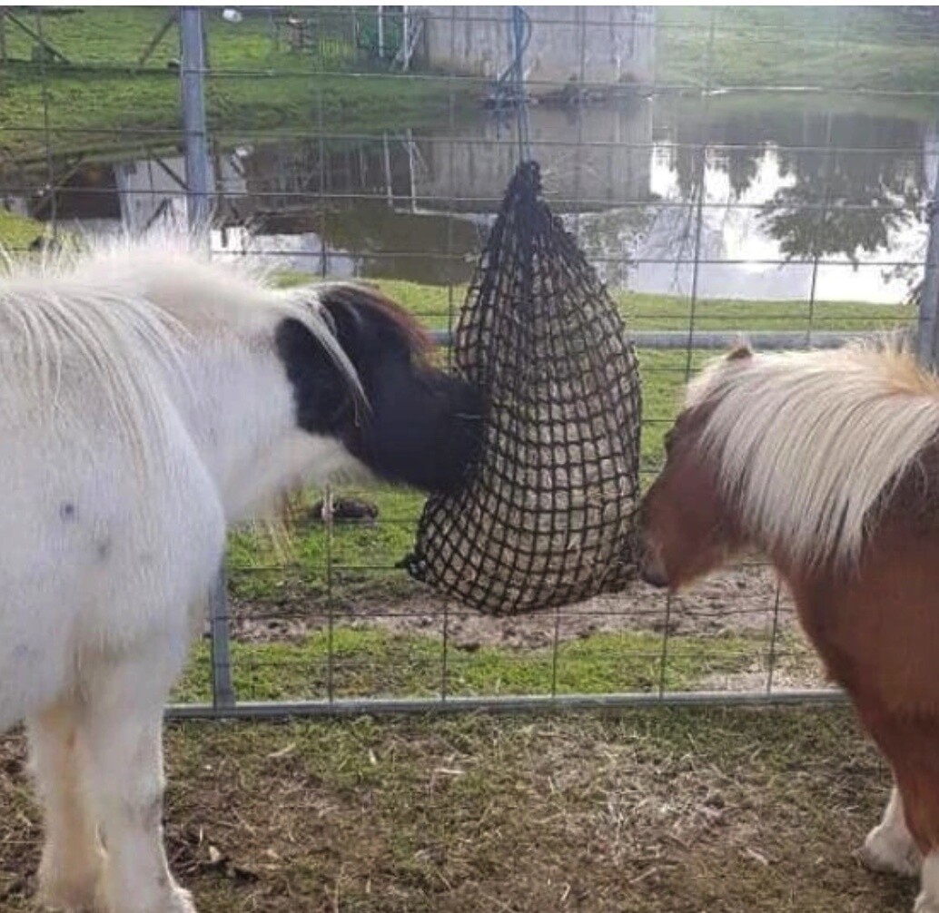 1.2'' hole 2-pack,Equestrian supplies Hay net bag Model can be customized PE nylon horse feeding net/ultra slow feed hay net orange hay net mesh size 3x3cm