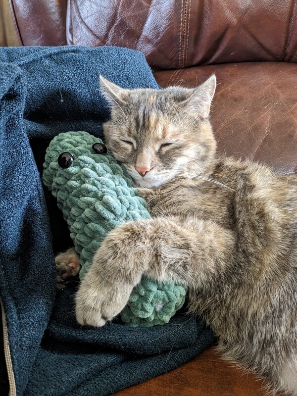 Emotional Support Pickle (Small)