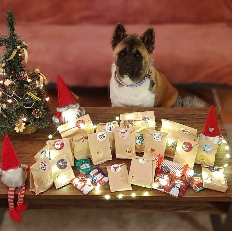 XXL Adventskalender XXL Adventskalender