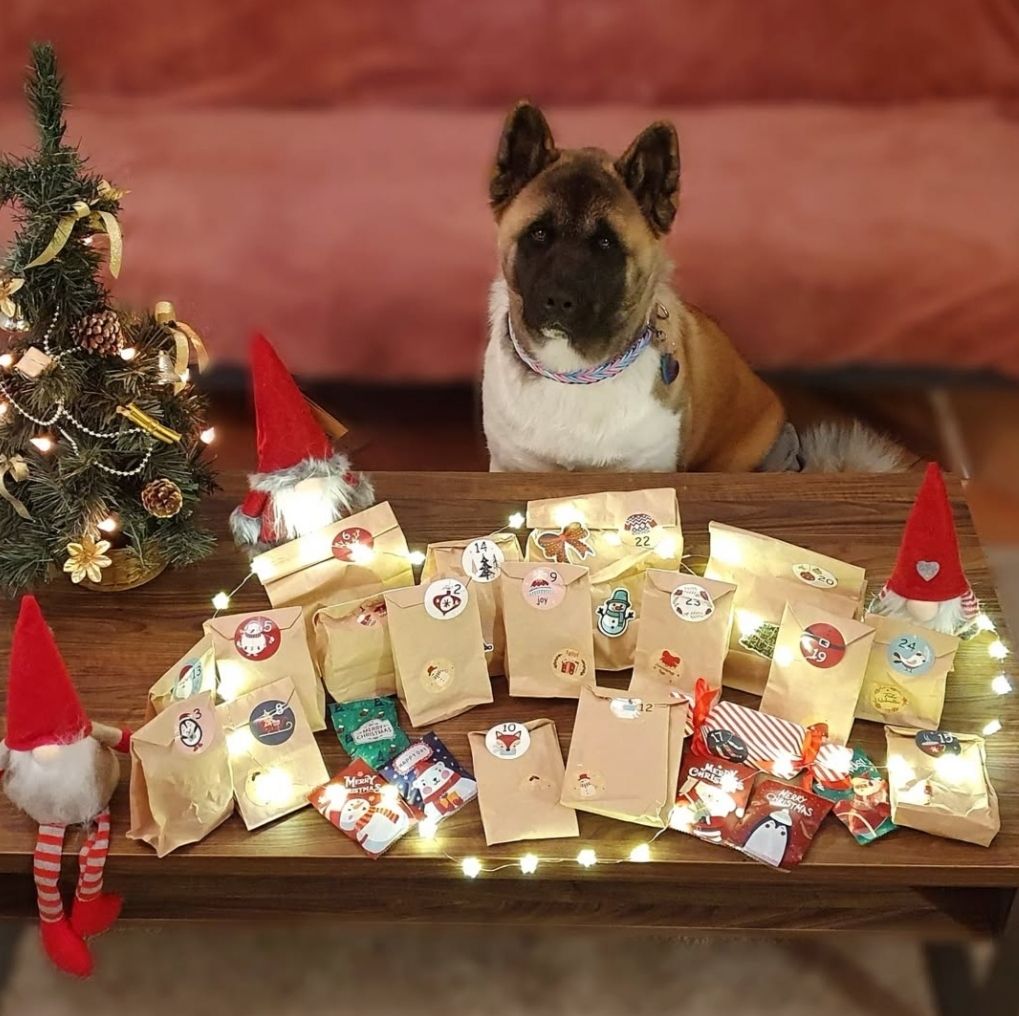 XXL Adventskalender