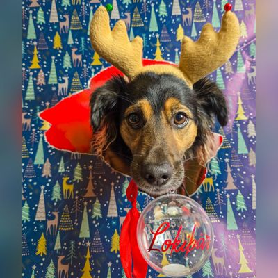 Weihnachten