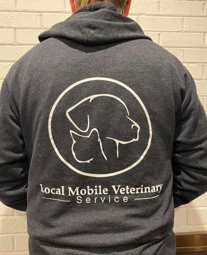 LMVS Hoodie