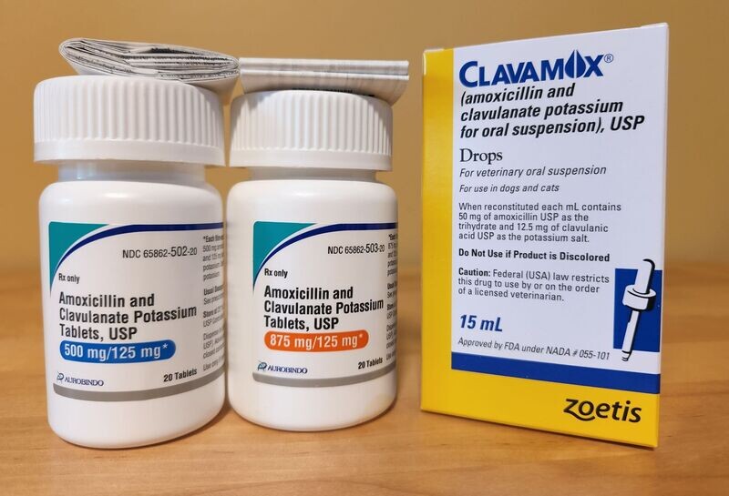 Amoxicillin and Clavulanate (Clavamox)