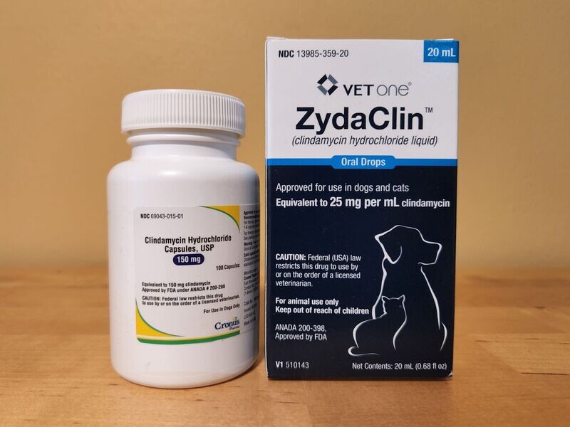 Clindamycin