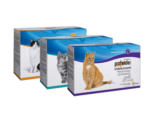 Profender Cat
