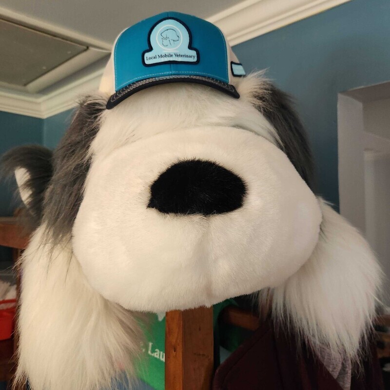 LMVS Trucker Hat