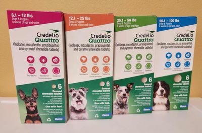 Credelio Quattro