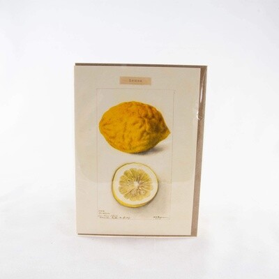 Lemons Card - PB