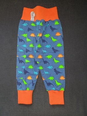 62/68, Hösli Dino, farbig