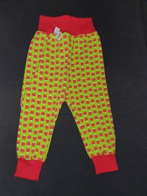 74/80, Hösli Fliegenpilzen, grün