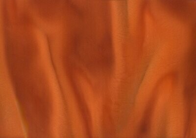 TORGINOL® Metallic ColorPigments - Starfish