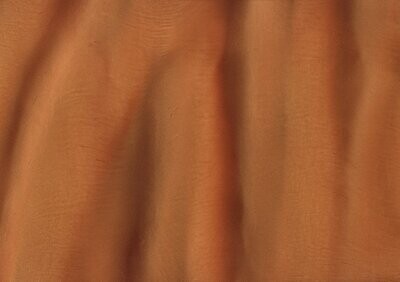 TORGINOL® Metallic ColorPigments - Cabana