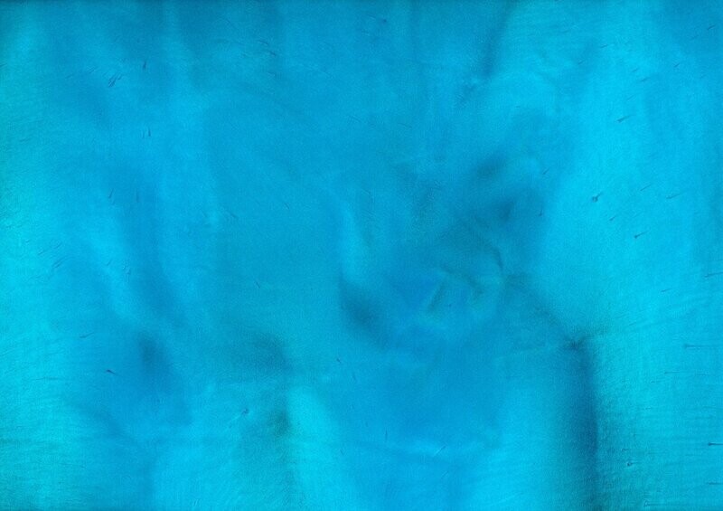 TORGINOL® Metallic ColorPigments - Caribbean