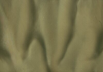 TORGINOL® Metallic ColorPigments - Palm