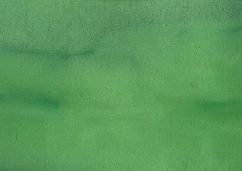 TORGINOL® Metallic ColorPigments - Avocado