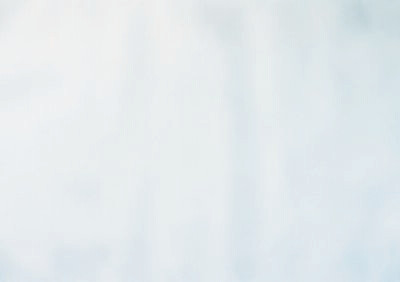 TORGINOL® Metallic ColorPigments - Great White