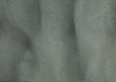 TORGINOL® Metallic ColorPigments - Curacao