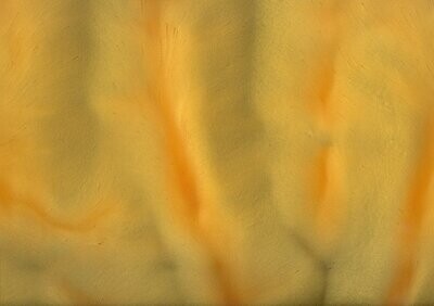 TORGINOL® Metallic ColorPigments - Papaya