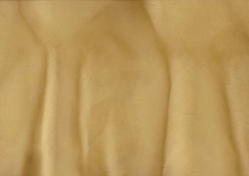 TORGINOL® Metallic ColorPigments - Palapa