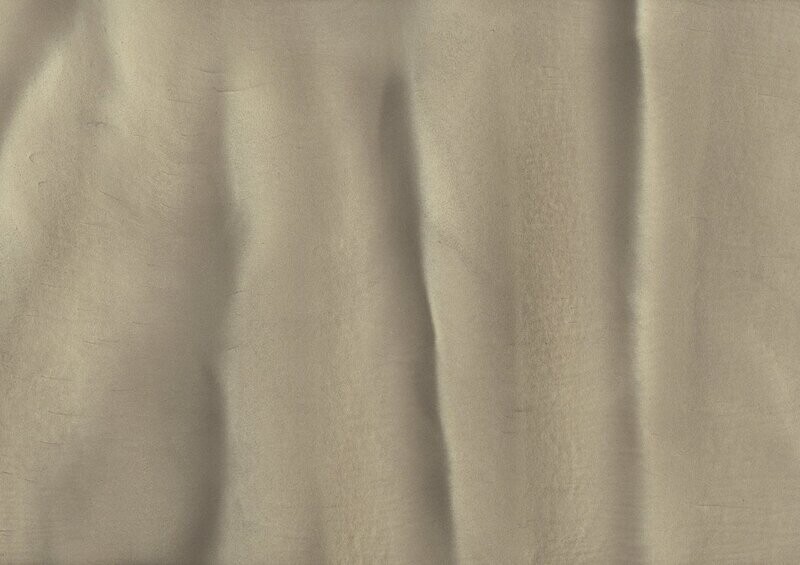 TORGINOL® Metallic ColorPigments - Overcast